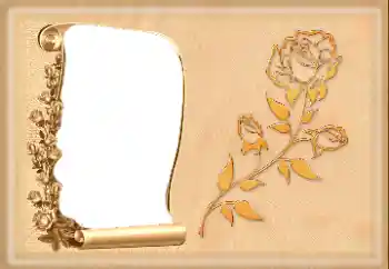 PhotoEffect da categoria Molduras para fotografias femininas № 160601 PhotoEffect da categoria Molduras para fotografias femininas № 160601
