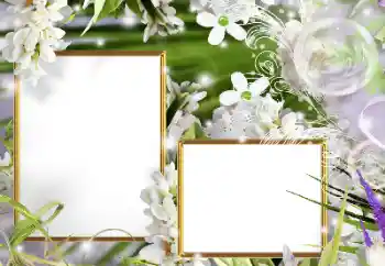 PhotoEffect da categoria Molduras para fotografias femininas № 160610 PhotoEffect da categoria Molduras para fotografias femininas № 160610