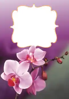 PhotoEffect da categoria Molduras para fotografias femininas № 160699