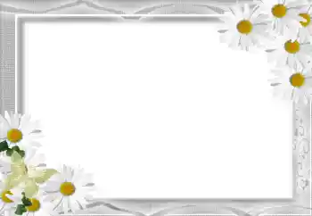 PhotoEffect da categoria Molduras para fotografias femininas № 16071 PhotoEffect da categoria Molduras para fotografias femininas № 16071