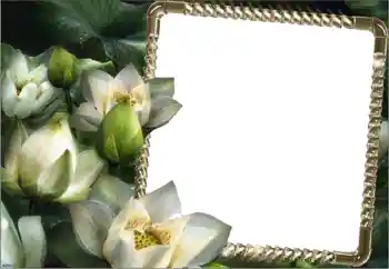 PhotoEffect da categoria Molduras para fotografias femininas № 160750
