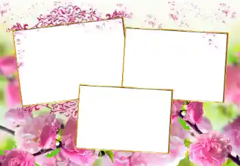 PhotoEffect da categoria Molduras para fotografias femininas № 160777