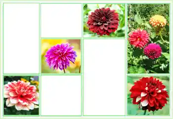 PhotoEffect da categoria Molduras para fotografias femininas № 160824