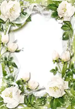 PhotoEffect da categoria Molduras para fotografias femininas № 1611