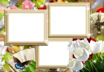 PhotoEffect da categoria Molduras para fotografias femininas № 161970 PhotoEffect da categoria Molduras para fotografias femininas № 161970