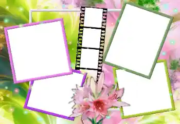 PhotoEffect da categoria Molduras para fotografias femininas № 163255 PhotoEffect da categoria Molduras para fotografias femininas № 163255