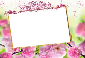 PhotoEffect da categoria Molduras para fotografias femininas № 163327 PhotoEffect da categoria Molduras para fotografias femininas № 163327