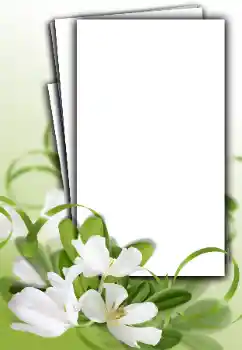 PhotoEffect da categoria Molduras para fotografias femininas № 163548 PhotoEffect da categoria Molduras para fotografias femininas № 163548