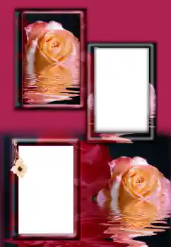 PhotoEffect da categoria Molduras para fotografias femininas № 164787 PhotoEffect da categoria Molduras para fotografias femininas № 164787