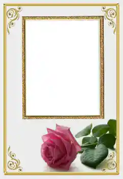 PhotoEffect da categoria Molduras para fotografias femininas № 166019 PhotoEffect da categoria Molduras para fotografias femininas № 166019