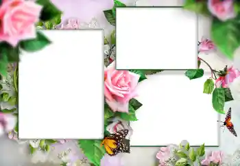 PhotoEffect da categoria Molduras para fotografias femininas № 166108 PhotoEffect da categoria Molduras para fotografias femininas № 166108