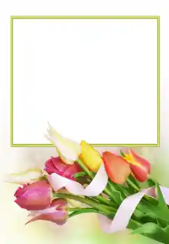 PhotoEffect da categoria Molduras para fotografias femininas № 166153 PhotoEffect da categoria Molduras para fotografias femininas № 166153