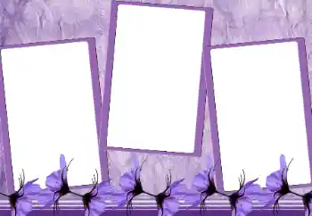 PhotoEffect da categoria Molduras para fotografias femininas № 167964