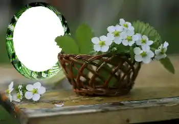 PhotoEffect da categoria Molduras para fotografias femininas № 167999