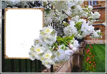 PhotoEffect da categoria Molduras para fotografias femininas № 169025