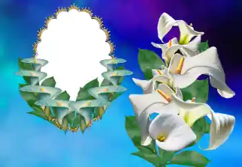 PhotoEffect da categoria Molduras para fotografias femininas № 169156