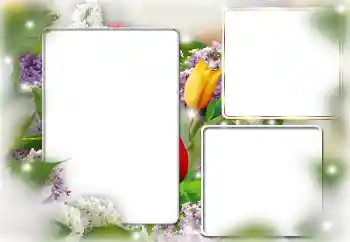 PhotoEffect da categoria Molduras para fotografias femininas № 169224