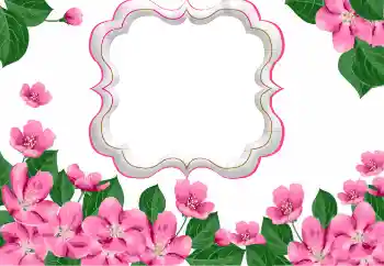 PhotoEffect da categoria Molduras para fotografias femininas № 169271