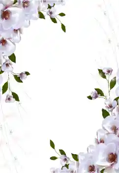 PhotoEffect da categoria Molduras para fotografias femininas № 16997