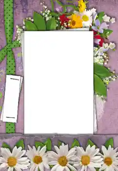 PhotoEffect da categoria Molduras para fotografias femininas № 170521 PhotoEffect da categoria Molduras para fotografias femininas № 170521