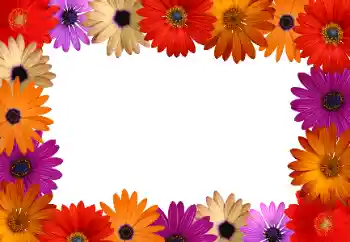 PhotoEffect da categoria Molduras para fotografias femininas № 172916 PhotoEffect da categoria Molduras para fotografias femininas № 172916