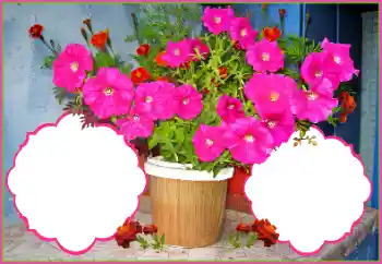 PhotoEffect da categoria Molduras para fotografias femininas № 172978 PhotoEffect da categoria Molduras para fotografias femininas № 172978