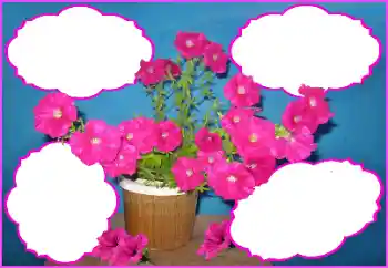PhotoEffect da categoria Molduras para fotografias femininas № 172980 PhotoEffect da categoria Molduras para fotografias femininas № 172980
