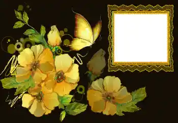 PhotoEffect da categoria Molduras para fotografias femininas № 172997