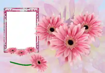 PhotoEffect da categoria Molduras para fotografias femininas № 173021
