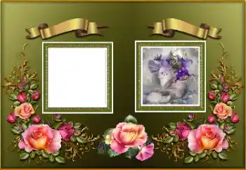 PhotoEffect da categoria Molduras para fotografias femininas № 174094