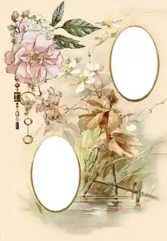 PhotoEffect da categoria Molduras para fotografias femininas № 174098