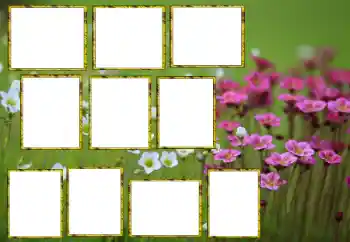PhotoEffect da categoria Molduras para fotografias femininas № 174173