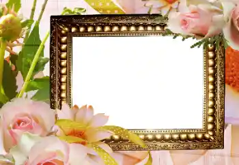 PhotoEffect da categoria Molduras para fotografias femininas № 175321