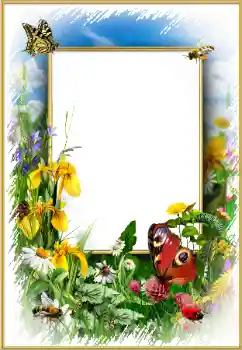 PhotoEffect da categoria Molduras para fotografias femininas № 175352
