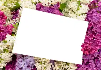 PhotoEffect da categoria Molduras para fotografias femininas № 175408 PhotoEffect da categoria Molduras para fotografias femininas № 175408