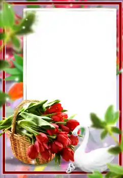 PhotoEffect da categoria Molduras para fotografias femininas № 175469 PhotoEffect da categoria Molduras para fotografias femininas № 175469