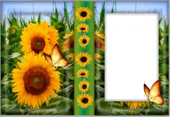 PhotoEffect da categoria Molduras para fotografias femininas № 175542 PhotoEffect da categoria Molduras para fotografias femininas № 175542
