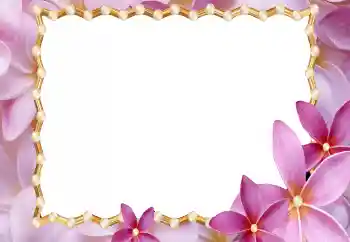 PhotoEffect da categoria Molduras para fotografias femininas № 177920 PhotoEffect da categoria Molduras para fotografias femininas № 177920