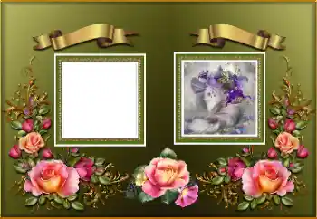 PhotoEffect da categoria Molduras para fotografias femininas № 179351 PhotoEffect da categoria Molduras para fotografias femininas № 179351