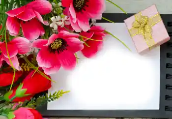 PhotoEffect da categoria Molduras para fotografias femininas № 180815