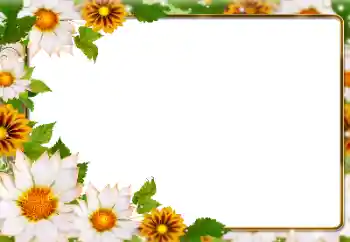 PhotoEffect da categoria Molduras para fotografias femininas № 180831 PhotoEffect da categoria Molduras para fotografias femininas № 180831