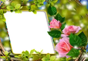 PhotoEffect da categoria Molduras para fotografias femininas № 180860 PhotoEffect da categoria Molduras para fotografias femininas № 180860