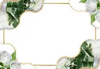 PhotoEffect da categoria Molduras para fotografias femininas № 18185