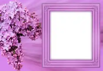 PhotoEffect da categoria Molduras para fotografias femininas № 183304 PhotoEffect da categoria Molduras para fotografias femininas № 183304