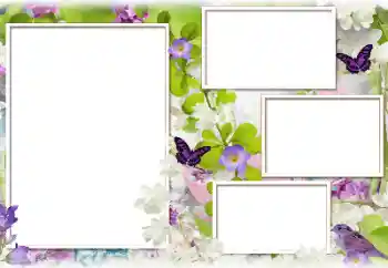 PhotoEffect da categoria Molduras para fotografias femininas № 183388