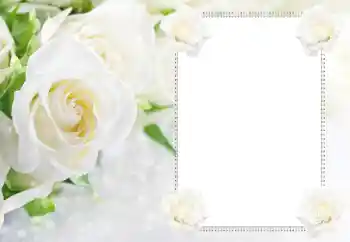 PhotoEffect da categoria Molduras para fotografias femininas № 183434