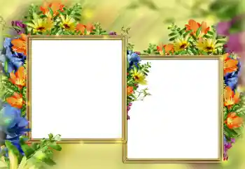 PhotoEffect da categoria Molduras para fotografias femininas № 184579 PhotoEffect da categoria Molduras para fotografias femininas № 184579