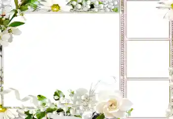 PhotoEffect da categoria Molduras para fotografias femininas № 184586 PhotoEffect da categoria Molduras para fotografias femininas № 184586