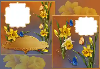 PhotoEffect da categoria Molduras para fotografias femininas № 185839