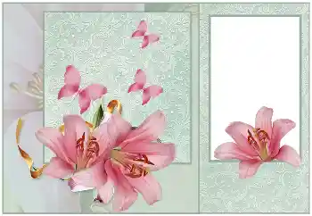 PhotoEffect da categoria Molduras para fotografias femininas № 185848